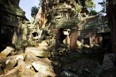 Ta Prohm Tapınak, tapınak Angkor, Kamboçya