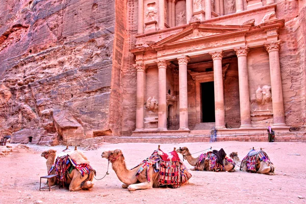 Treasury Khazneh Van Petra Oude Stad Met Camel Jordanië — Stockfoto