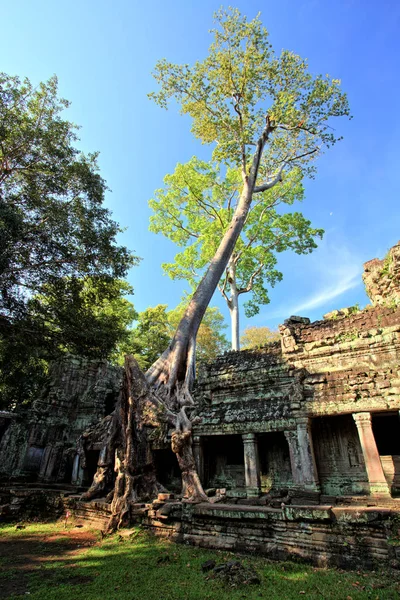 Templo Preah Khan Templos Angkor Camboja — Fotografia de Stock