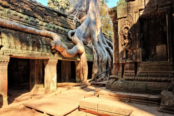 Templo Prohm Templos Angkor Camboja — Fotografia de Stock