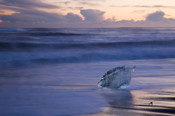 Icebergs Praia Perto Jokulsarlon Glacial Lagoon Islândia — Fotografia de Stock