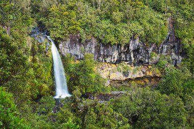 Güzel Dawson Falls Egmont Milli Parkı, Yeni Zelanda