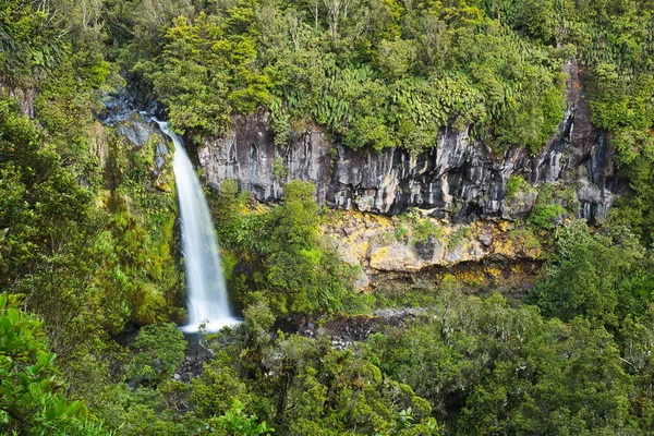 美丽的道森瀑布在埃格蒙特国家公园 新西兰 — 图库照片