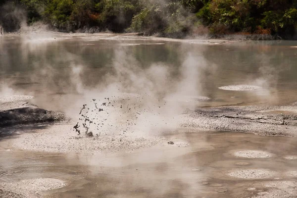 Modder zwembad bij Wai-O-Tapu geothermische gebied bij Rotorua, Nieuw-Zeeland — Stockfoto