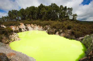 Rotor yakınlarındaki Wai-O-Tapu Jeotermal Alanda Yeşil Şeytan Banyo Havuzu