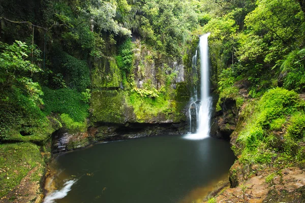 Güzel yeşil Kaiate Falls, Yeni Zelanda — Stok fotoğraf