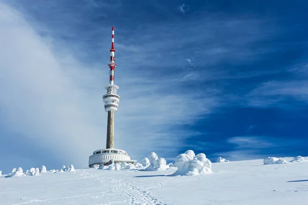 Praded nadajnik telewizji pod pokrywy śnieżnej w Jesenik, Czechy — Zdjęcie stockowe