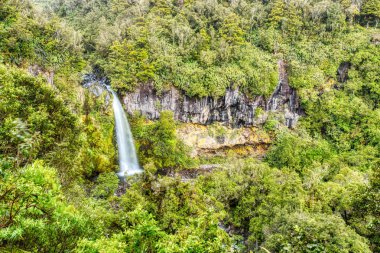 Güzel Dawson Falls Egmont Milli Parkı, Yeni Zelanda