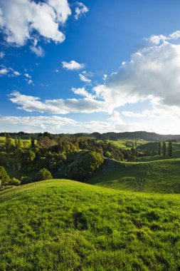 Yeni Zelanda Kırsal Manzara, Waitomo Alanı