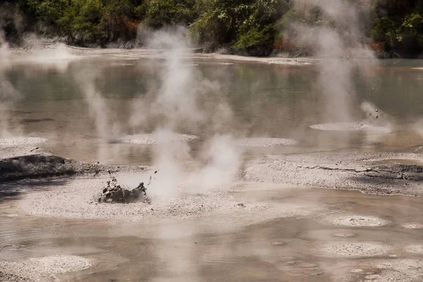 Piscina di fango nell'area geotermica di Wai-O-Tapu vicino a Rotorua, Nuova Zelanda — Foto Stock