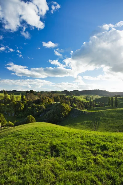 Загородный пейзаж Новой Зеландии, зона Уэйтомо — стоковое фото