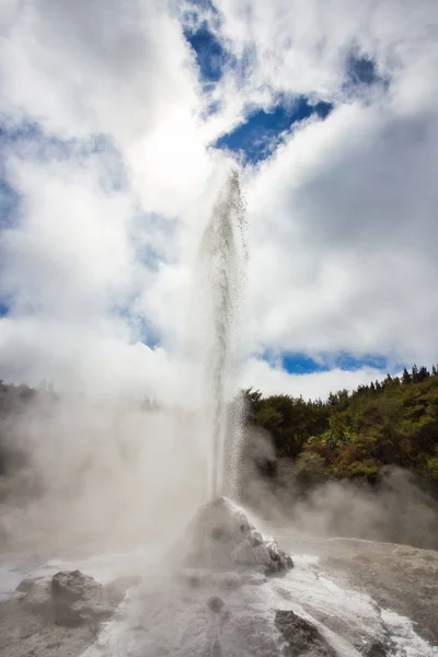 Lady Knox Geyser durante a erupção na área geotérmica de Wai-O-Tapu, N — Fotografia de Stock