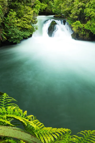Krásné zelené Tutea Falls, Nový Zéland — Stock fotografie