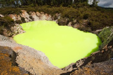 Rotor yakınlarındaki Wai-O-Tapu Jeotermal Alanda Yeşil Şeytan Banyo Havuzu