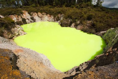 Green Devil's Bath Pool at Wai-O-Tapu Geothermal Area near Rotor clipart