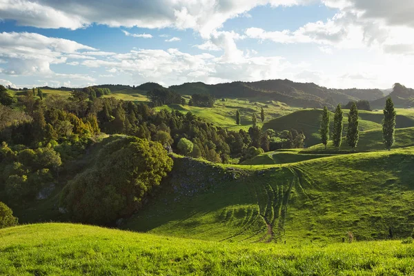 Nowa Zelandia Countryside sceneria, Waitomo Area — Zdjęcie stockowe