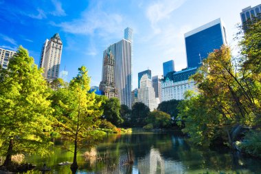 Central Park, New York 'tan New York Şehri Manhattan Manzarası