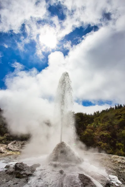 ワイ・オ・タプ地熱地域で噴火中のレディー・ノックス・ガイザー — ストック写真