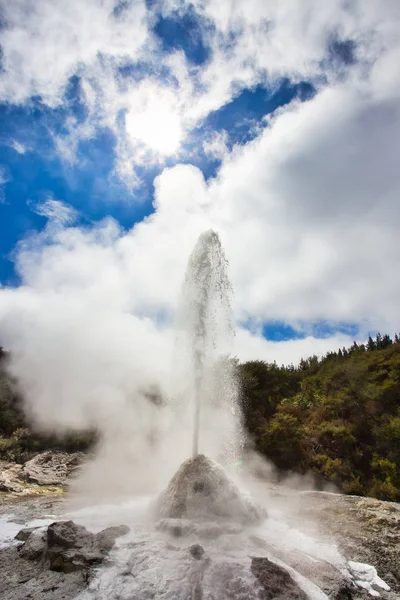 Lady Knox Geyser durante la erupción en el área geotérmica de Wai-O-Tapu, N —  Fotos de Stock