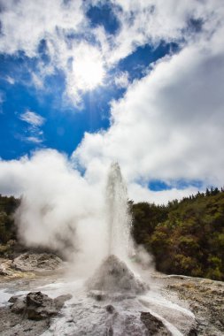 Lady Knox Geyser while Erupting in Wai-O-Tapu Geothermal Area, New Zealand clipart
