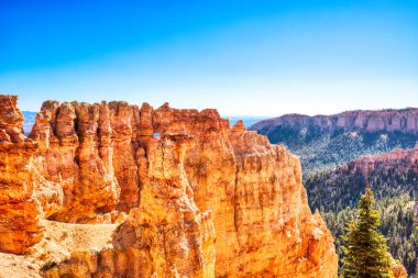 Sunny Day, Utah, ABD 'de Bryce Canyon Ulusal Parkı' nda Black Birch Kanyonu 