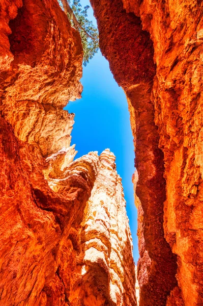 Bryce Canyon National Park Durante Dia Ensolarado Vista Entre Falésias — Fotografia de Stock