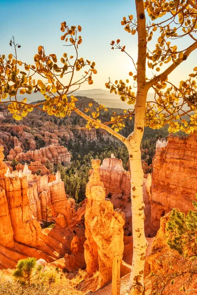 Thors Hammer Bryce Canyon Nemzeti Parkban Sunrise Utah Usa — Stock Fotó