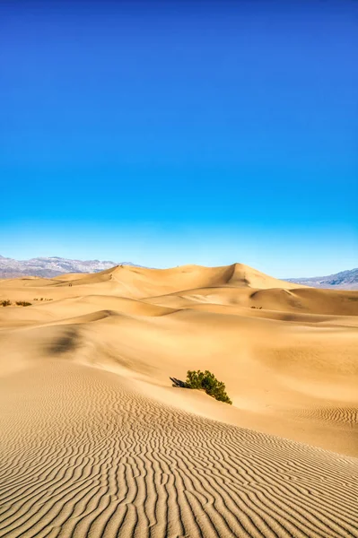 Mesquite Dunes Στο Εθνικό Πάρκο Death Valley Στο Sunrise Καλιφόρνια — Φωτογραφία Αρχείου