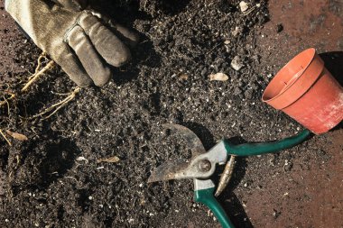 gübre ile secateurs ve bir el