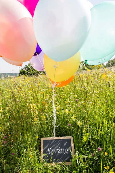 Montón Globos Colores Prado Tablero Con Palabra Primavera —  Fotos de Stock