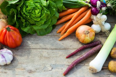 bir masada organik sebzeler, konsept organik tarım, tarım ve sağlıklı yaşam tarzı