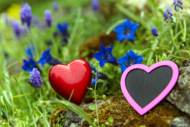 Gentians ve üzümlü sümbül arasında iki kalp