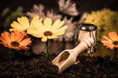 Bahçe düzenleyicisi, çiçek dikme, şarap mantarı figürleri