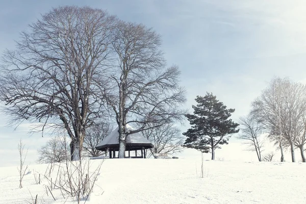 winter landscape, little cabin for recreation