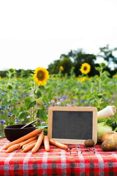 Bio Gemüse Auf Dem Tisch Konzept Ökologischer Landbau Landwirtschaft Und — Stockfoto