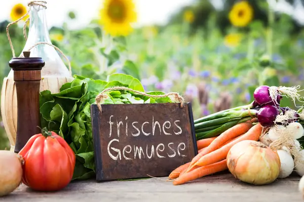 Bio Gemüse Auf Dem Tisch Konzept Ökologischer Landbau Landwirtschaft Und — Stockfoto