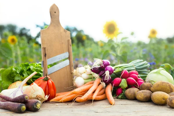 Bir Masada Organik Sebzeler Konsept Organik Tarım Tarım Sağlıklı Yaşam — Stok fotoğraf