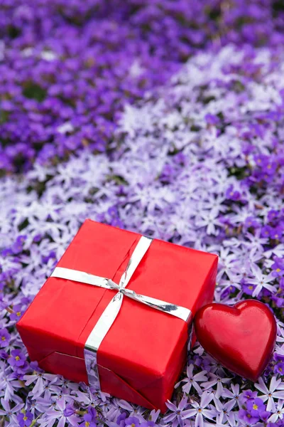 Sea Purple Blooms Red Gift Heart — Stock Photo, Image