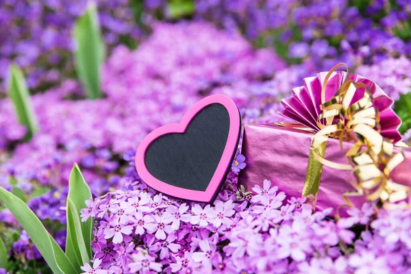 Beautiful Sea Violett Flowers Pink Heart Gift — Stock Photo, Image