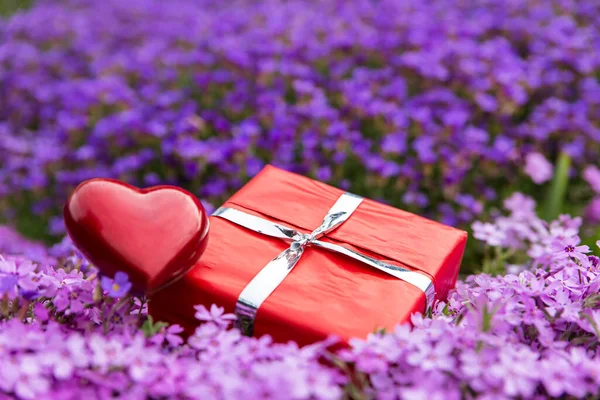 Beautiful Gift Card Field Flowers Red Present Heart — Stock Photo, Image