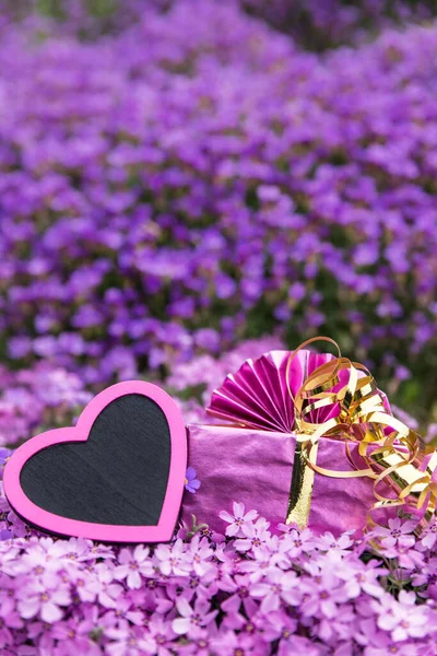 Bonito Cartão Saudação Coração Rosa Presente Topo Lilacbush — Fotografia de Stock