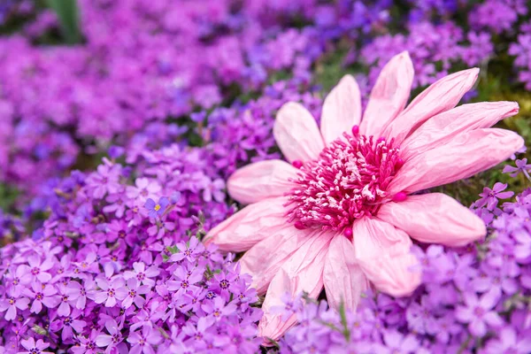 Beautiful Sea Pink Petals Imitation Flower — Stock Photo, Image