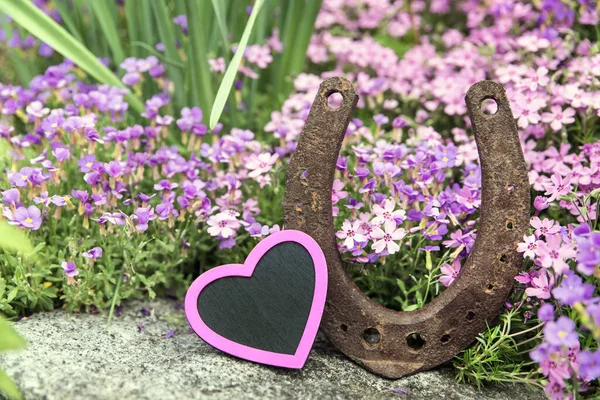 Cuore Rosa Ferro Cavallo Davanti Prato Romanticamente Primaverile — Foto Stock