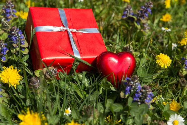 Red Heart Gift Spring Meadow — Stock Photo, Image