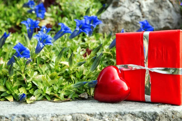 Beautiful Greeting Card Bavarian Gentian Heart Gift — Stock Photo, Image
