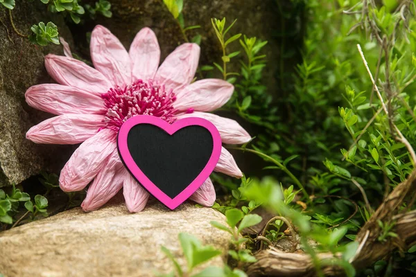 Mystical Old Rockery Pink Heart Imitation Flower — Stock Photo, Image