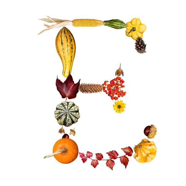 Isolated Alphabet Autumn Symbols Letter — Stock Photo, Image