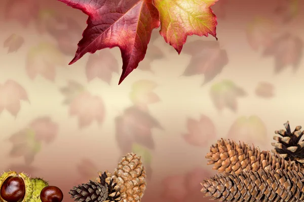 Fall winter background Stock Photos, Royalty Free Fall winter ...