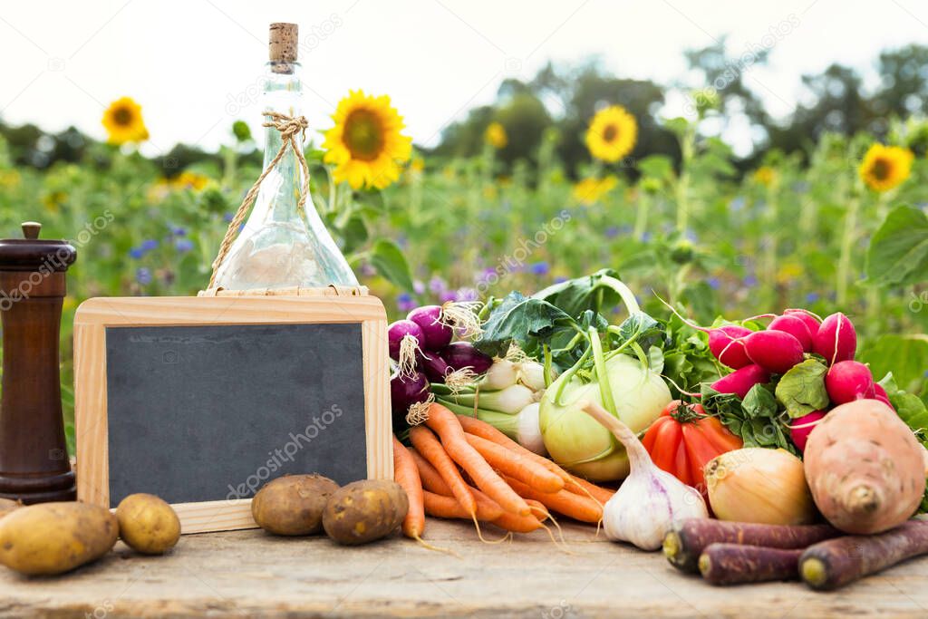 organic vegetables on a table, concept organic farming, agriculture and healthy lifestyle