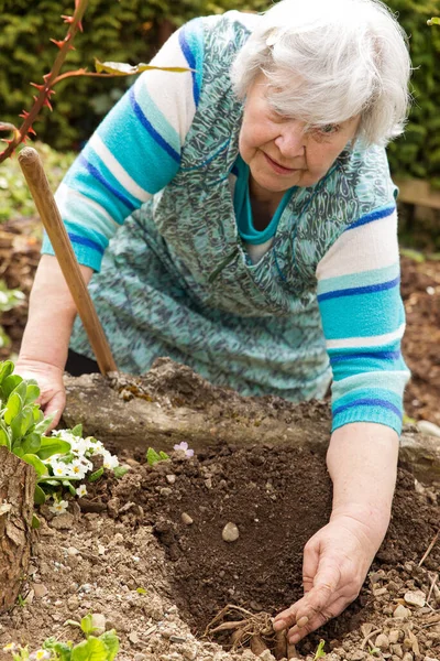 Yaşlı Yetişkin Bahçede Çalışıyor — Stok fotoğraf
